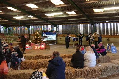 Playing Little Donkey at the RSPCA Lockwood Donkey Sanctuary's fayre